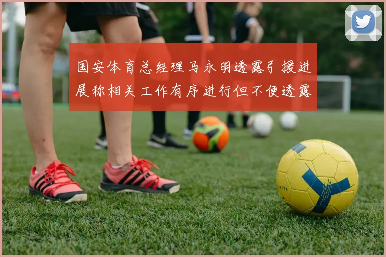 国安体育总经理马永明透露引援进展称相关工作有序进行但不便透露名字